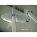 300w wind power generator on the rooftop low price